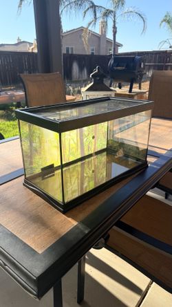Glass terrarium