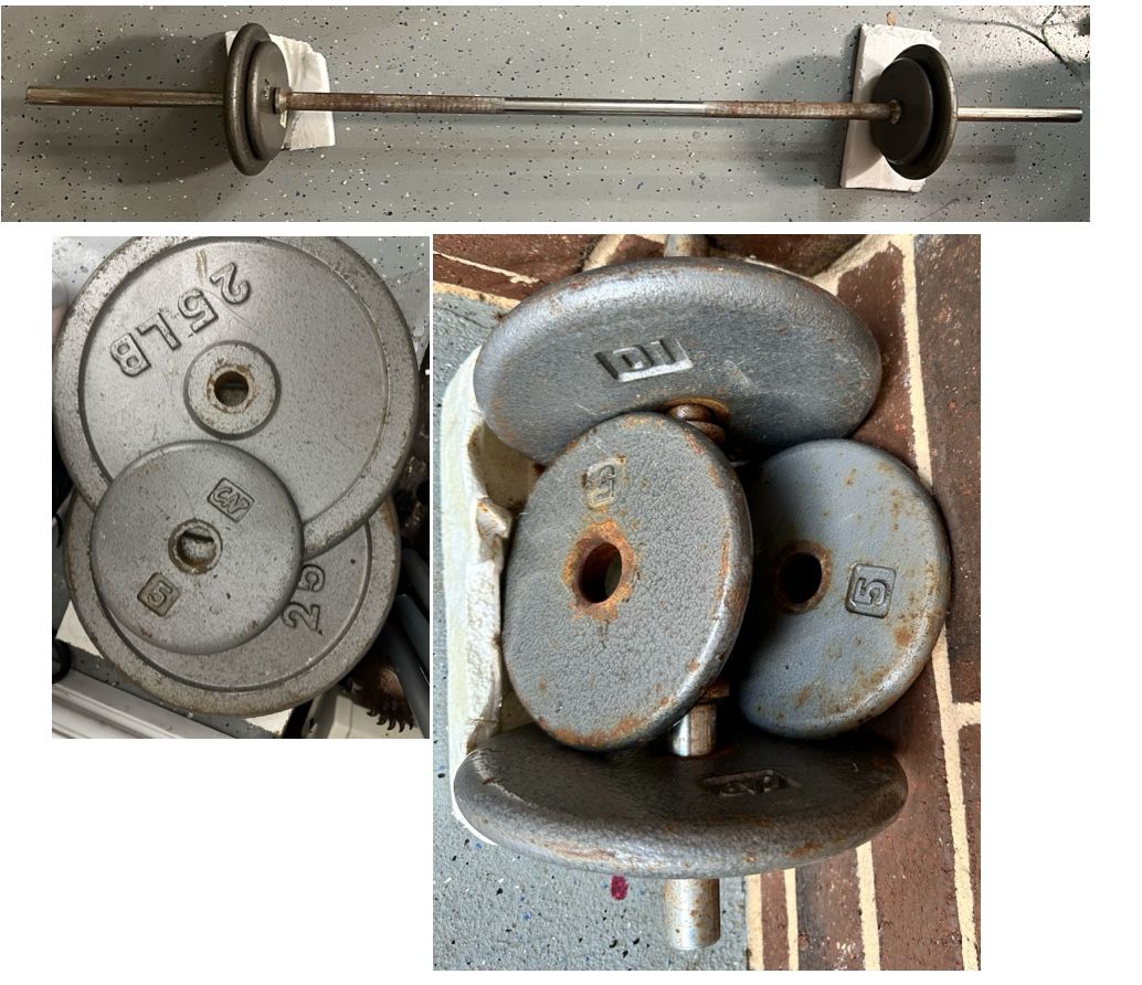 Weights Plates And Curl Bar