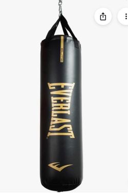 New 100 lb Everlast Punching Bag