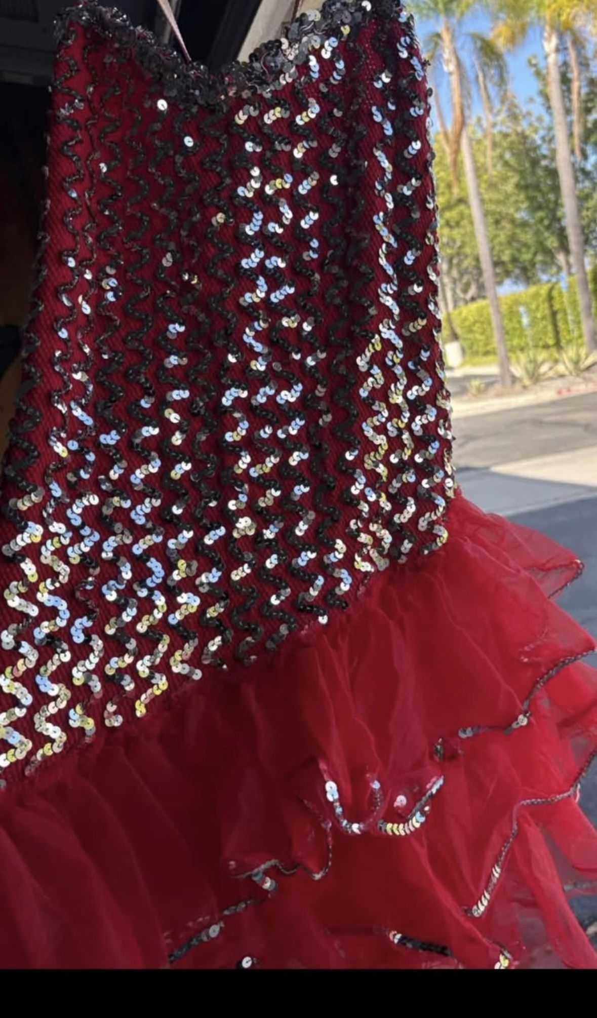 Sequin Costume