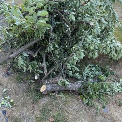 Applewood.   Great For Smoking Meat