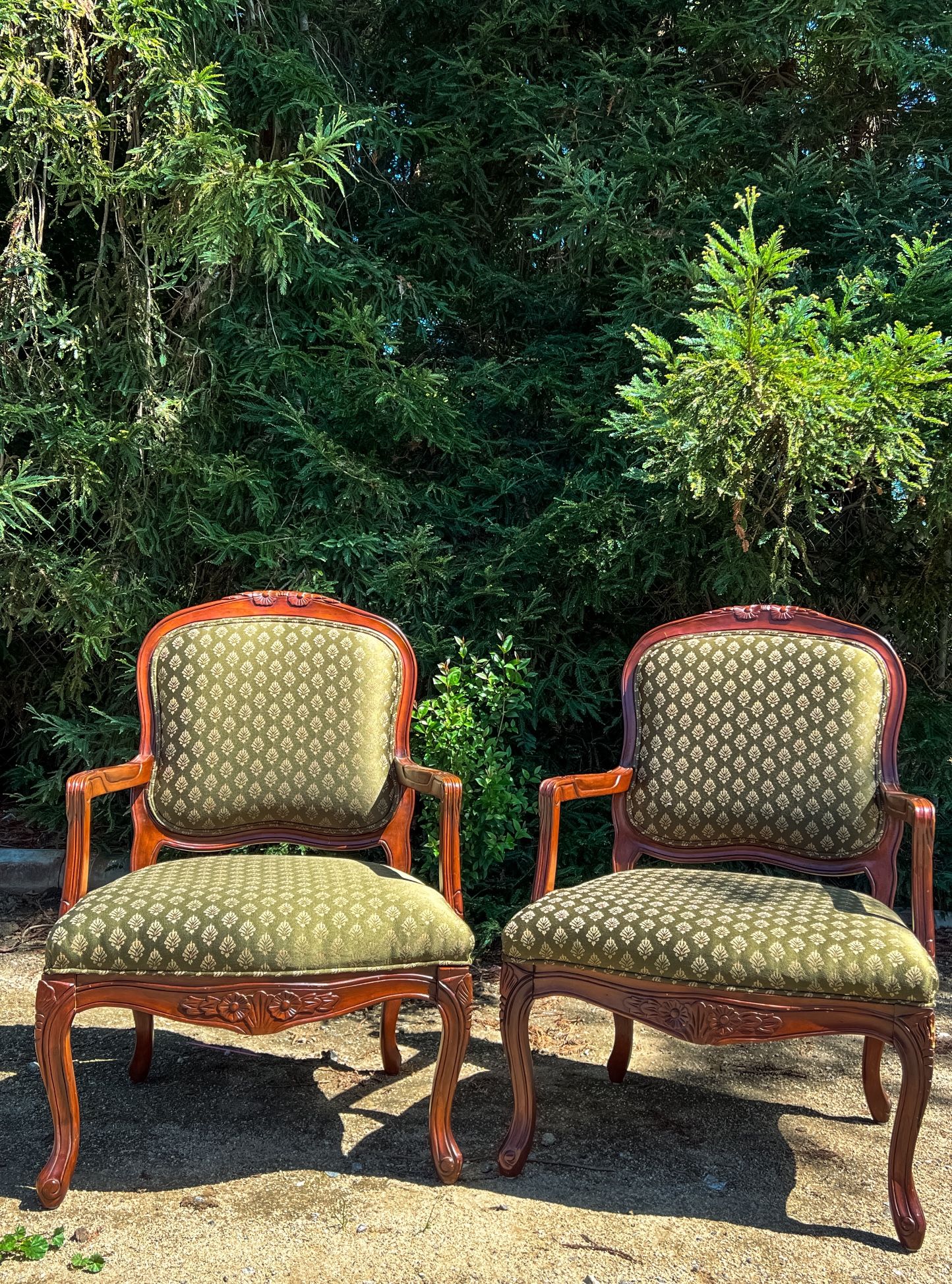 Set of Antique Chairs