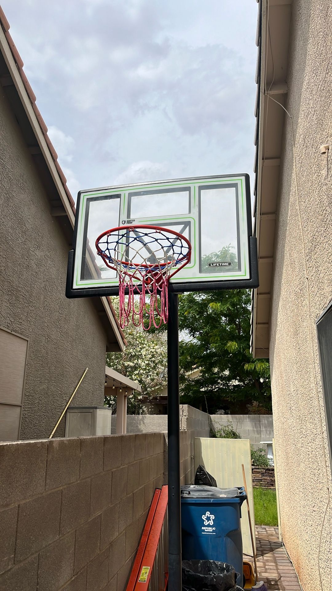LifeTime Basketball Hoop