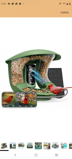 Solar Powered Dual (2K & 1080p) birdfeeder camera