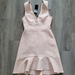 NWT BCBGMAXARIZIA Blush Dress 