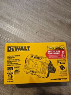 DEWALT light brand new kit