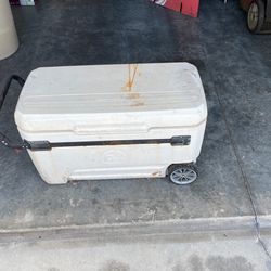 Cooler 120 Gallon