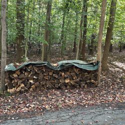 Firewood 
