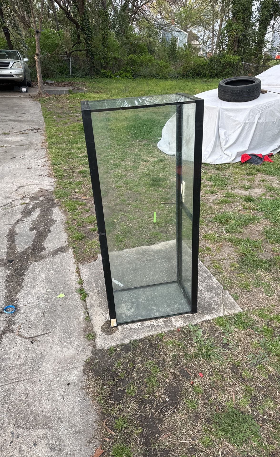 55 Gallon Fish Tank