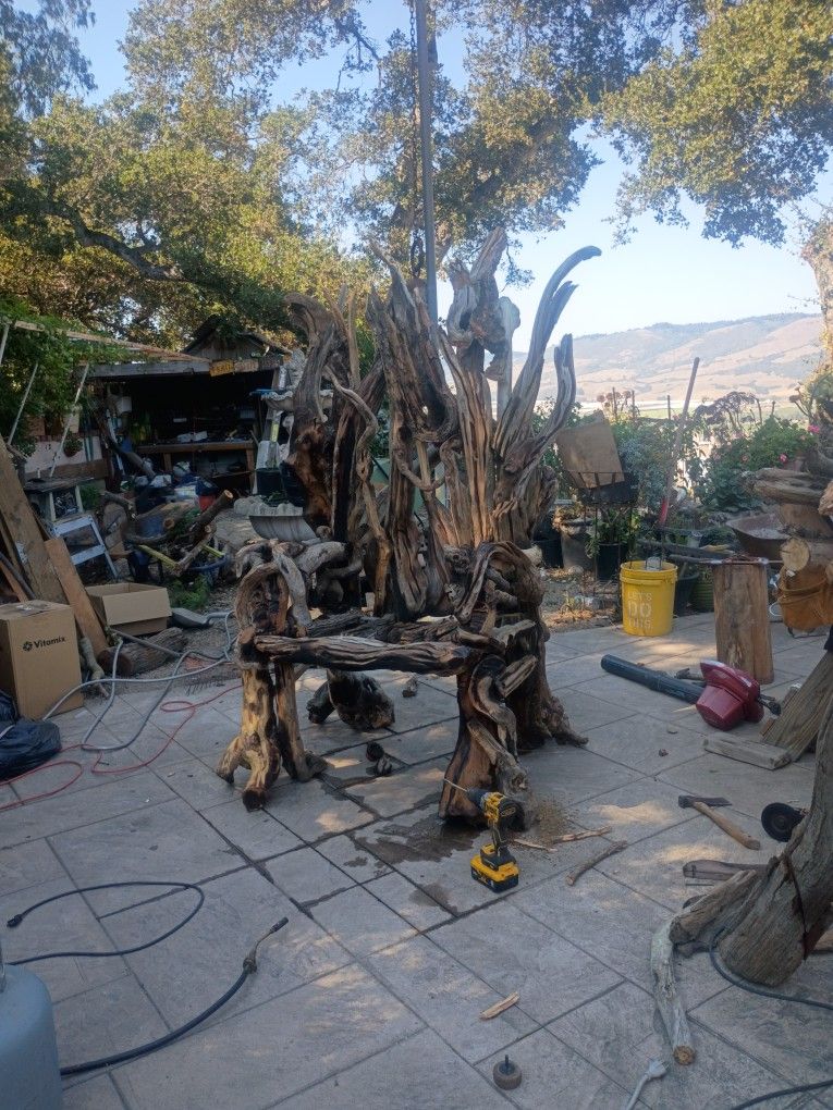 Driftwood Throne 
