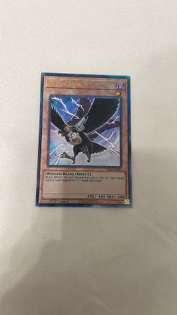 Collectors Rare D&d Crow From Rarity Collection 2