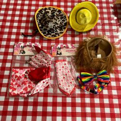 Holloween Dog Accesorios