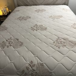 Queen Mattress For Sale! 