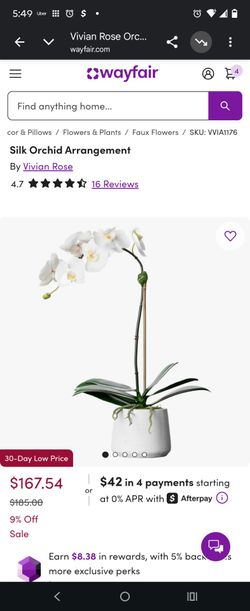Silk Orchid Arrangement
By
Vivian Rose