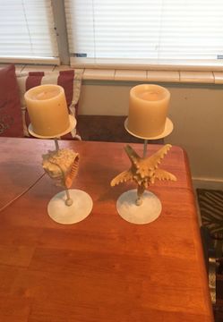 Seashell candle holders