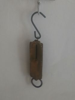 Antique Scaie