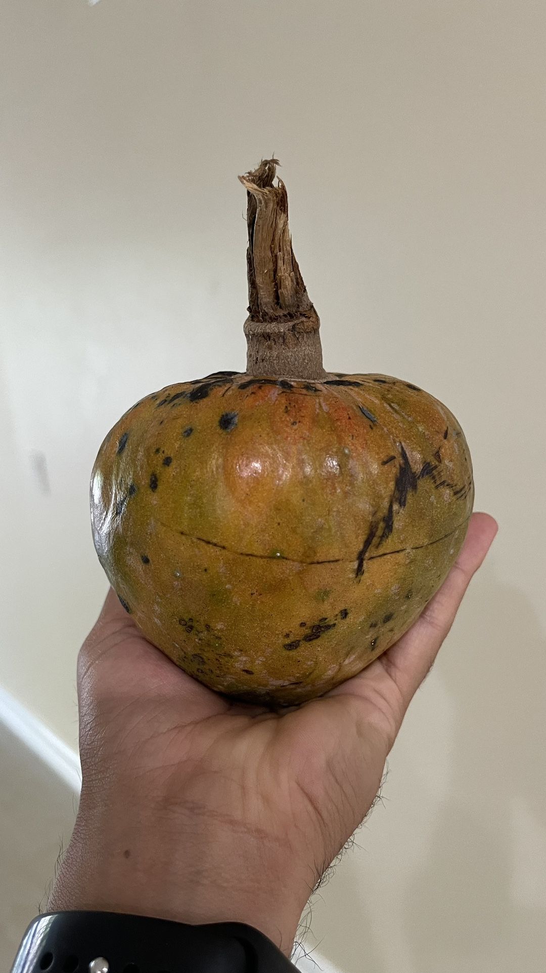 Chirimoya Cubana