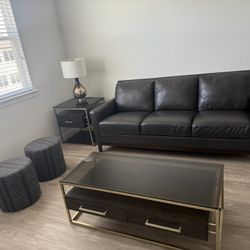 Chocolate Brown & Gold Living Room Set – Like New