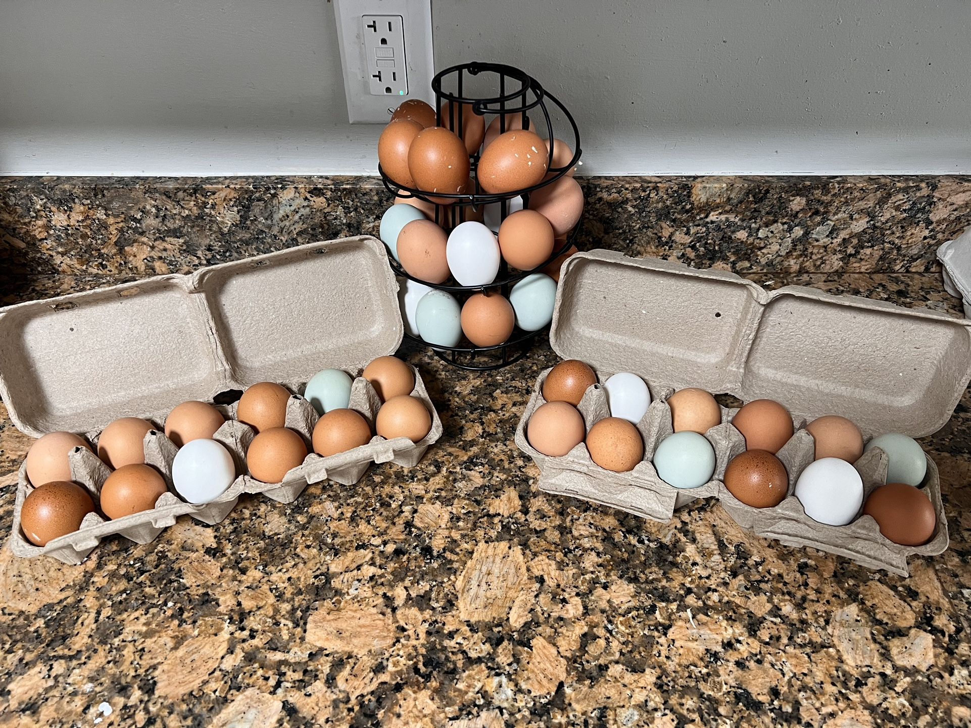 Fresh Eggs!!
