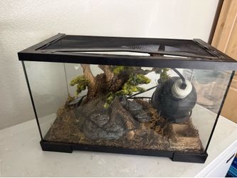 terrarium