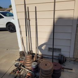 Exercise Weights