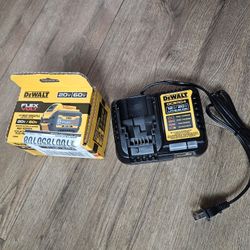 Dewalt Battery & Charger