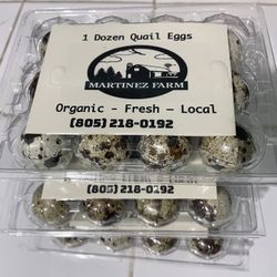 1 Dozen Fresh Quail Eggs