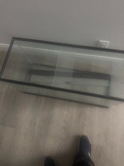 40 gallon fish tank