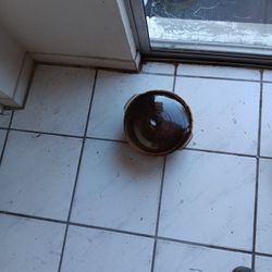 Casserole Dish