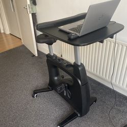 Flexispot Desk Bike