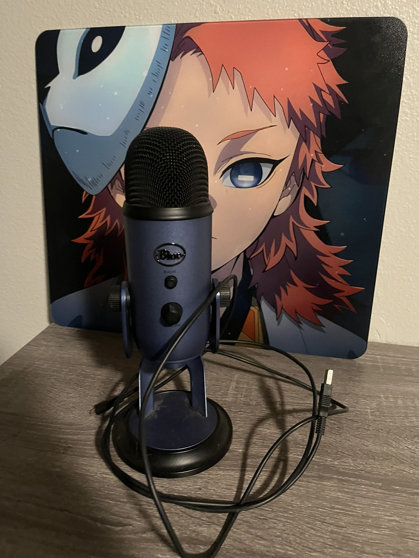 Blue Yeti (Works Perfectly)