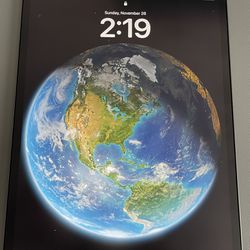 iPad Pro 12.9” (4th Generation) 256 GB - Like New