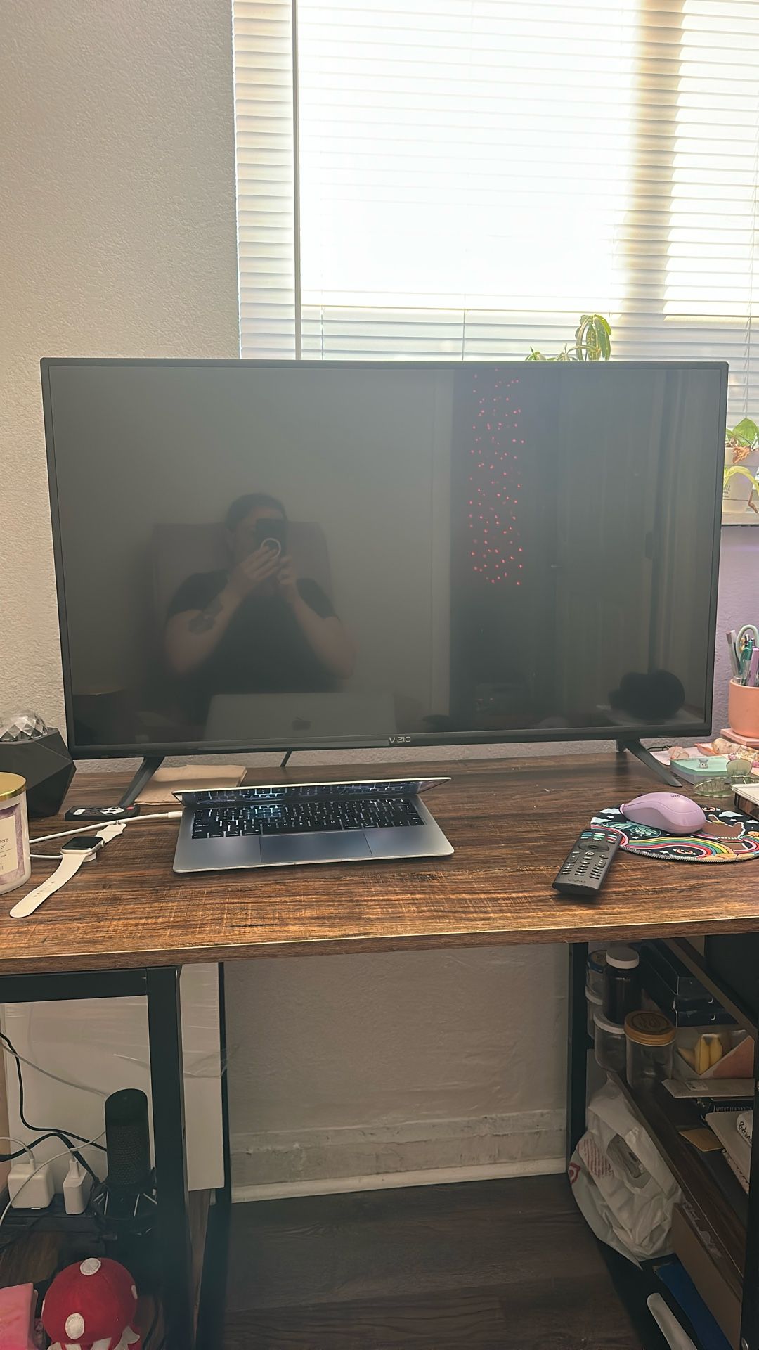 Vizio 32 In Read Description Please