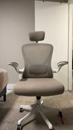 Ergonomic Office chair