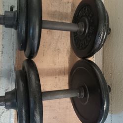 60 Lbs of weights 