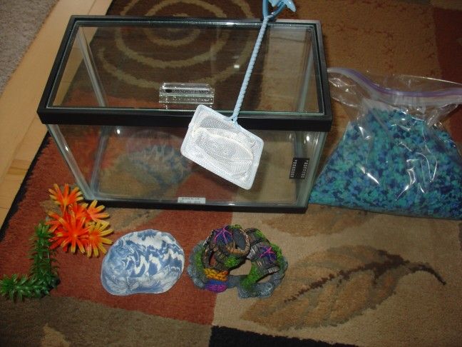 2.5 Gallon Clear Glass Aquarium Fish Tank W/Extras