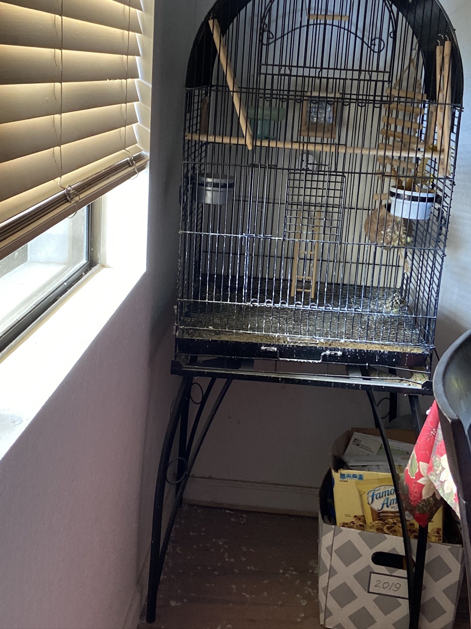 Bird Large Cage