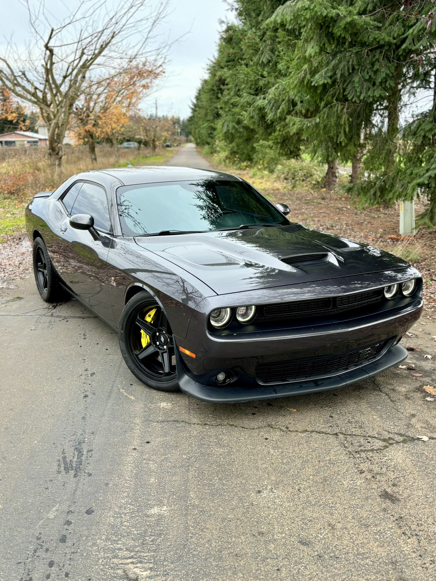 2019 Dodge Challenger