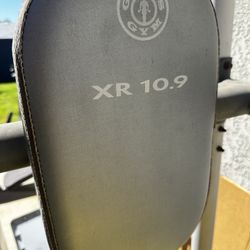Free * Golds Gym XR 10.9 Power Tower with Push-Up Pull-Up & Dip Stations