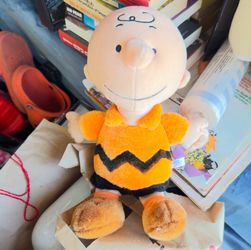 Peanuts Charlie Brown Stuffed Plush For Sale!