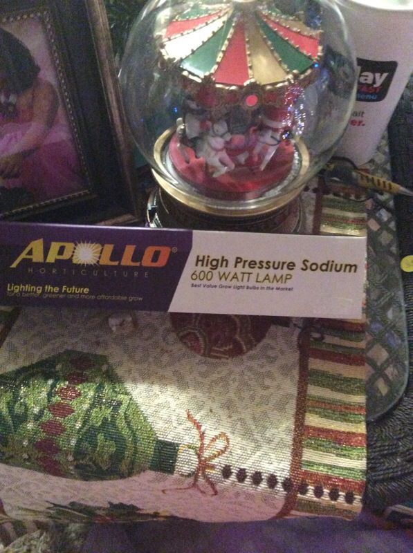 Apollo high pressure sodium 600 watt grow lamp