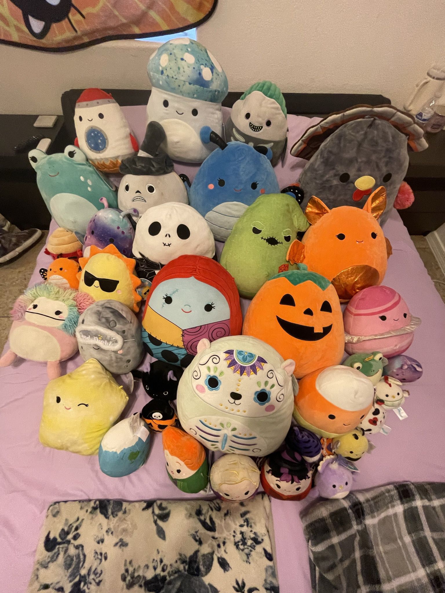 Squishmallows  Halloween, Space And More 