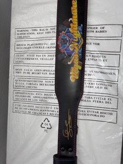WWE fanatics Cody rhoades weight-lift belt