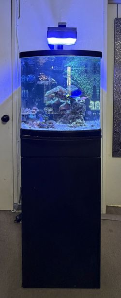 JBJ AIO 28g Tank