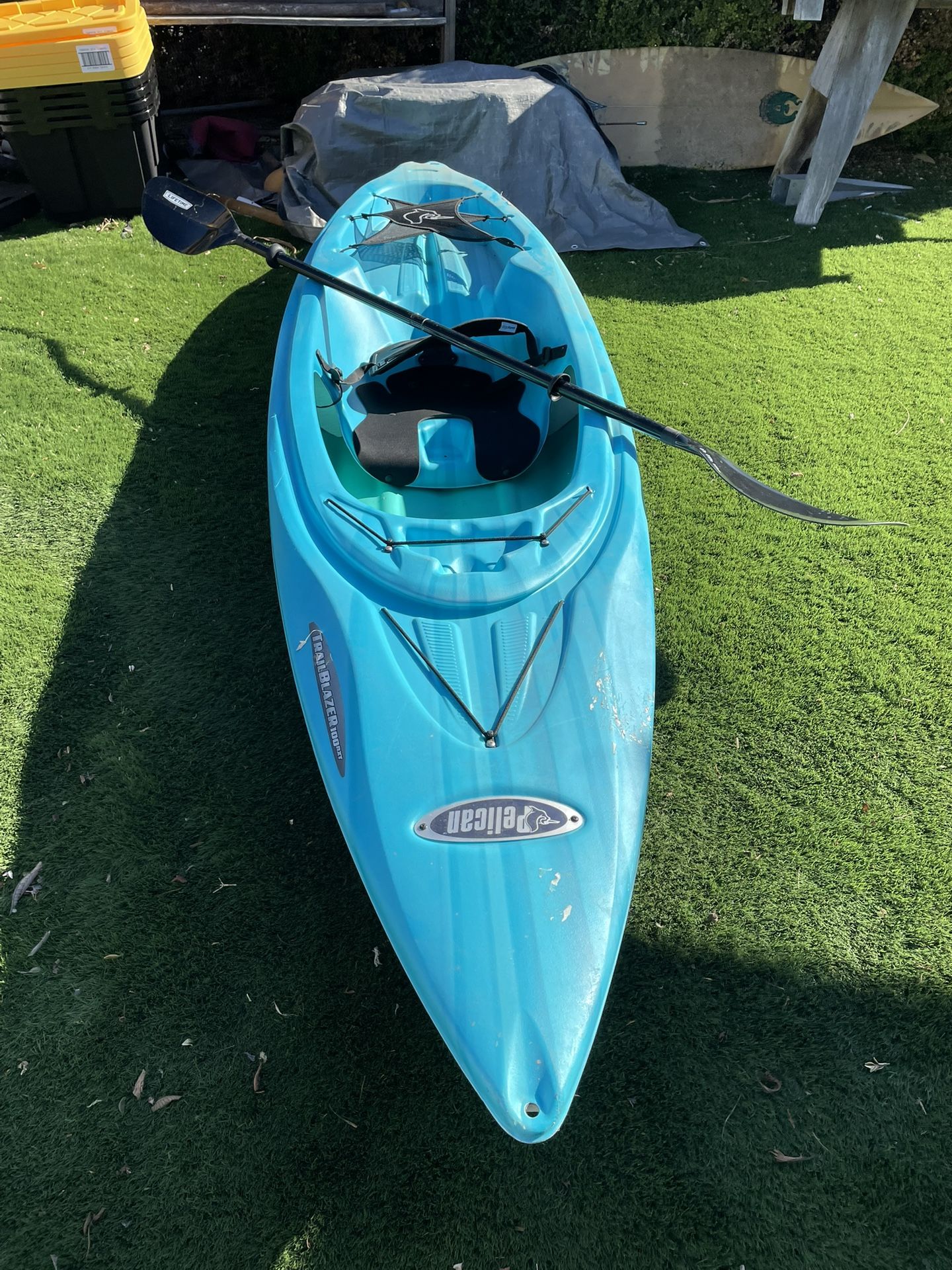 Pelican $100 
