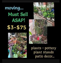 Plants, Pottery, Stands, Tools, Garden & Patio Items & Decor