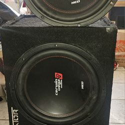 12's Speakers $150 Obo