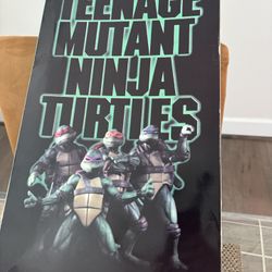 Ninja Turtle Set Of 4