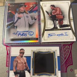 WWE AUTO BUNDLE TRADING CARDS
