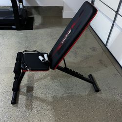 Adjustable Weight Bench Full Body Workout